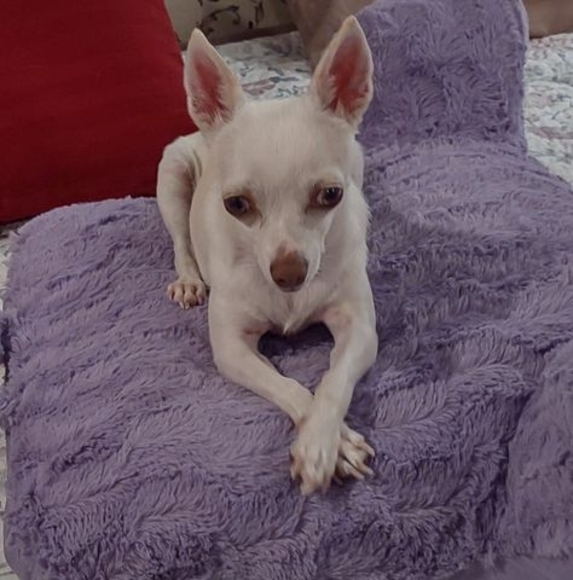 Meet your Posher, Kathy - Picture 1 of 1